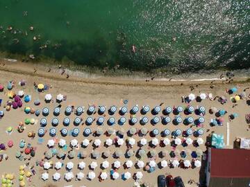 Фотографии Отель Complex Magnolia - All Inclusive г. Золотые Пески (Болгария) №4 Фото Отель Complex Magnolia - All Inclusive г. Золотые Пески 4