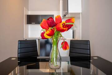 Фото номера Апартаменты с 1 спальней и видом на море Апарт-отели 1-st Line Izvora Sea View Apartments on Golden Sands г. Золотые Пески 8